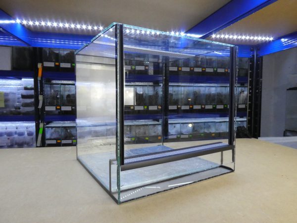 Terrarium szklane 30x30x30 cm