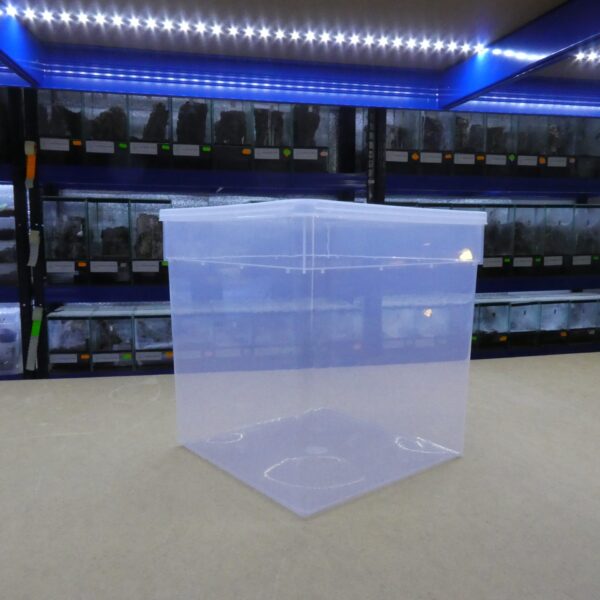 Braplast 19 × 19 × 19