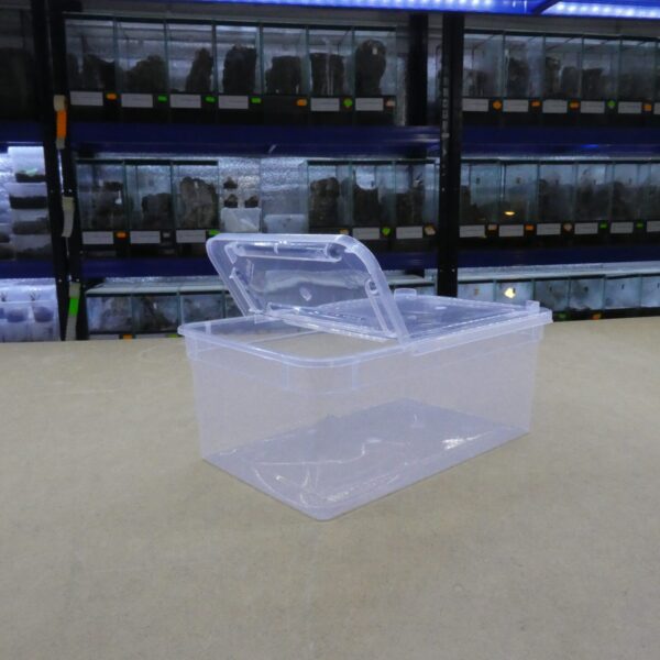 Braplast 19 × 12 × 7,5 cm