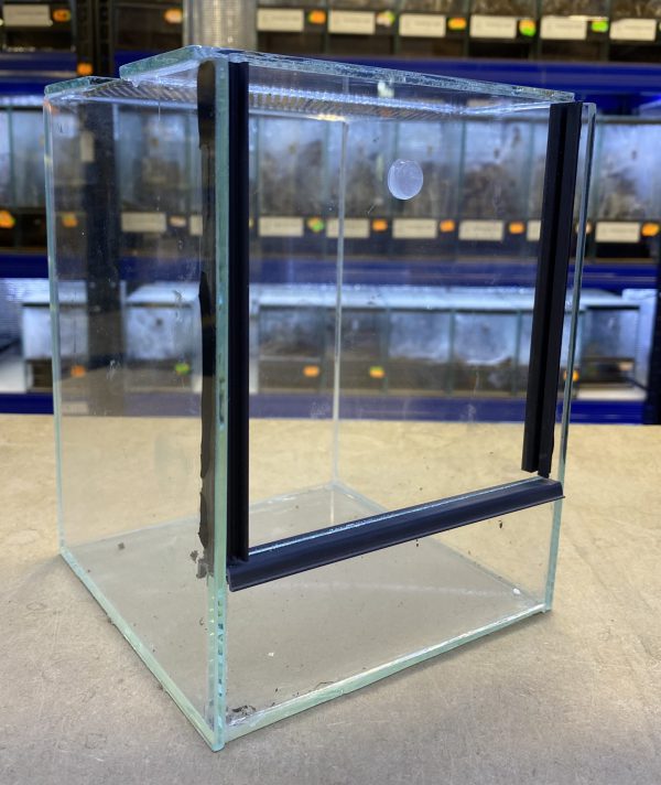 Terrarium szklane 15x15x20 cm