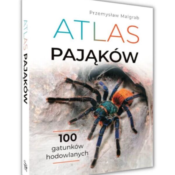 Atlas pająków ARACHNOHOBBIA Przemysław Malgrab