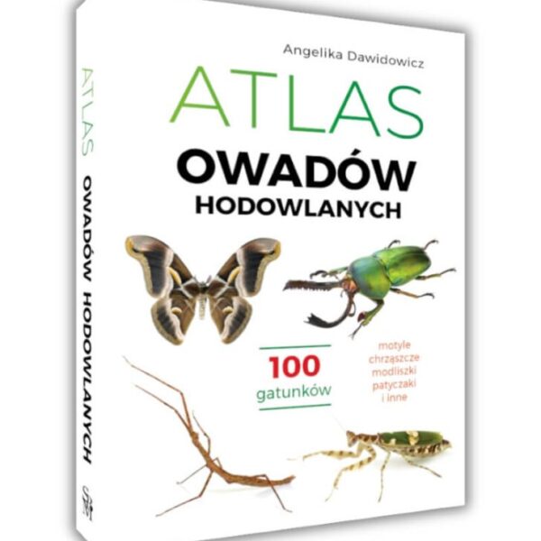 Atlas owadów hodowlanych 100 gatunków. Angelika Dawidowicz