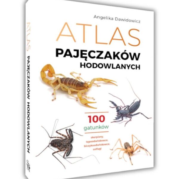 Atlas pajęczaków hodowlanych 100 gatunków. Angelika Dawidowicz
