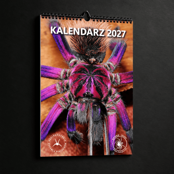 KALENDARZ na rok 2027 - SPIDERSHOP x ARACHNOHOBBIA (przedsprzedaż)