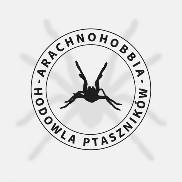 Tapinauchenius sanctivincenti - 2,5 DC ♀