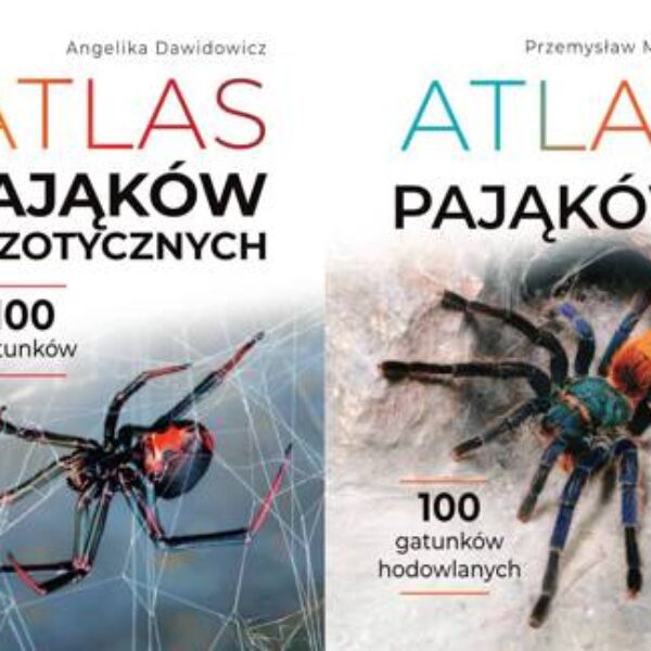 ZESTAW : Atlas pająków ARACHNOHOBBIA Przemysław Malgrab + Atlas pająków egzotycznych Angelika Dawidowicz